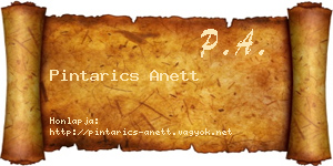 Pintarics Anett névjegykártya